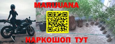 трава Пугачёв