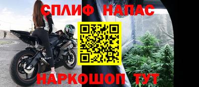 тгк Пенза