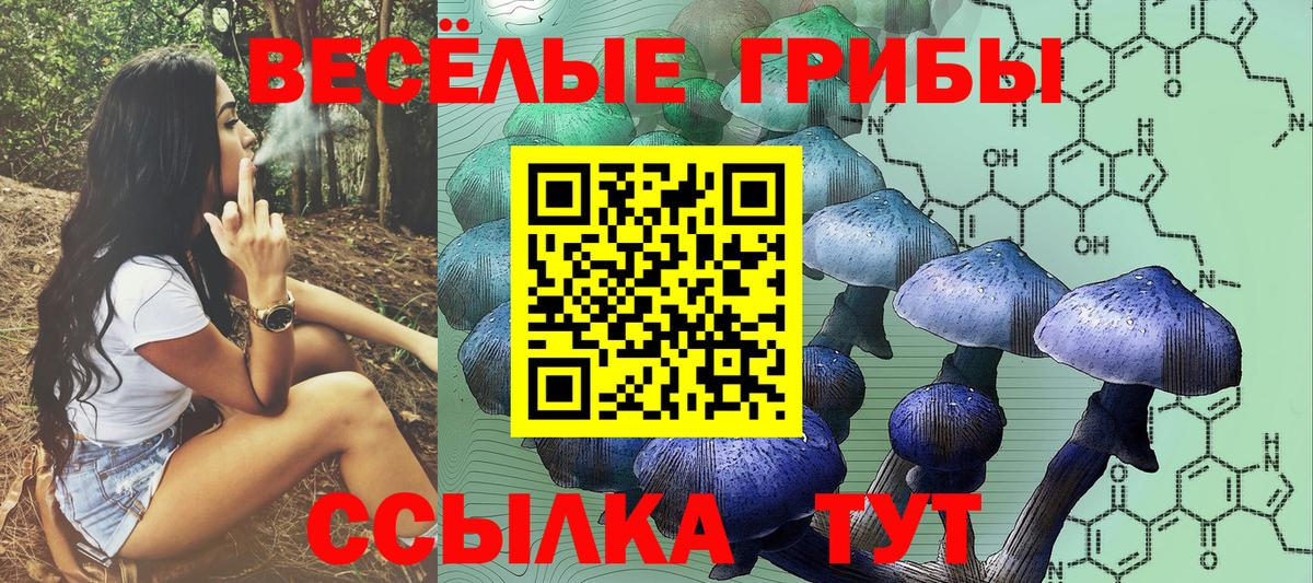 Сухой Лог  Псилоцибиновые грибы мухоморы  Псилоцибиновые грибы Psilocybe  Вход с VPN 